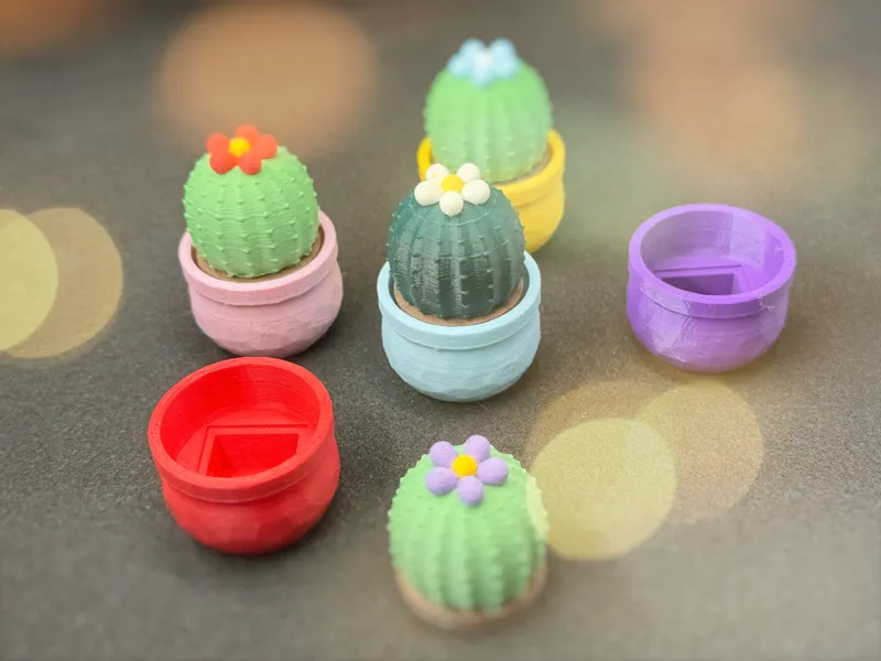 Clicker Succulent