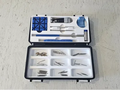 Watch strap toolbox