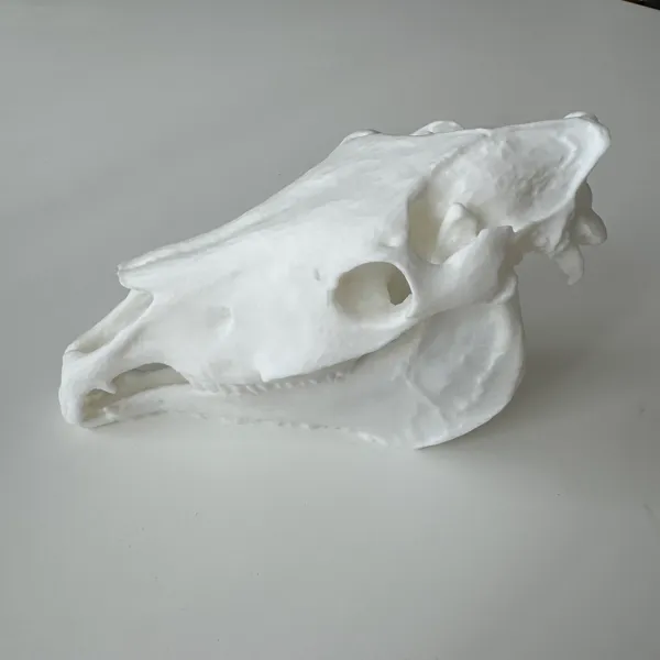 https://makerworld.bblmw.com/makerworld/model/US9263303fc5ae22/design/2024-04-20_8880a59a6cfd9.jpg