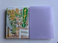 Big Manga Protection Box