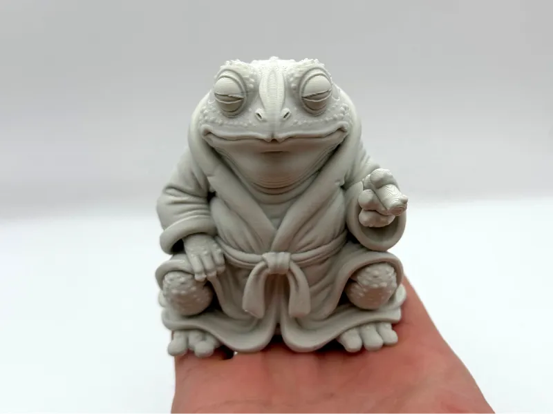 Morning Frog