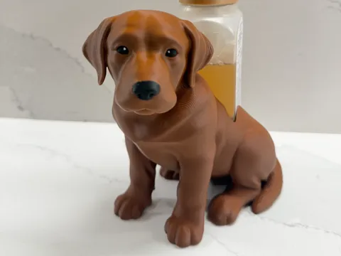 Soporte: Labrador Bath and Body Works Soap Holder — referencia de MakerWorld
