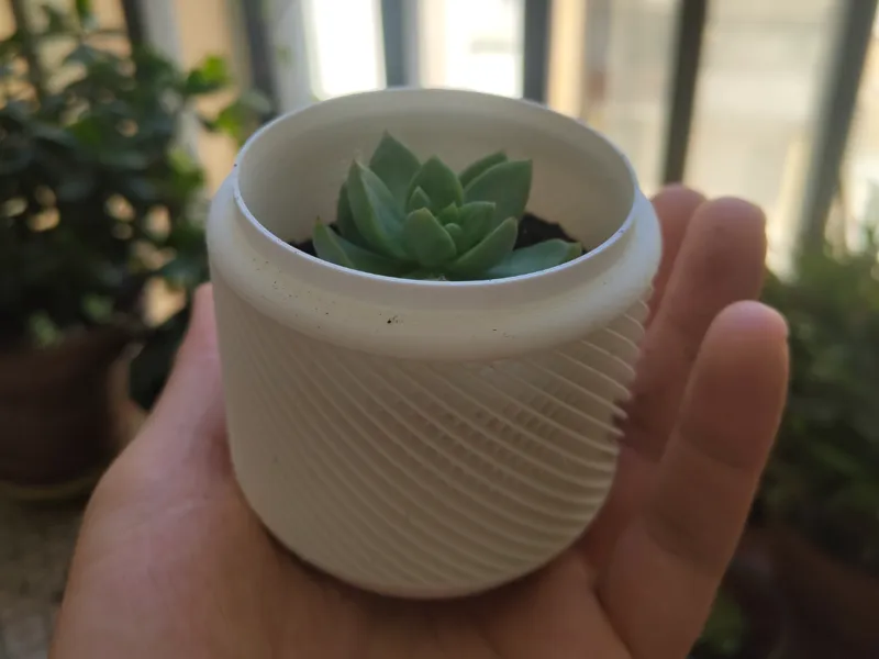 Lenta Suculenta – Succulent Planter