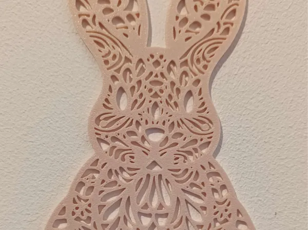 https://makerworld.bblmw.com/makerworld/model/US9275c1a2bf27b3/design/2025-03-16_b38a122fe9669.jpg