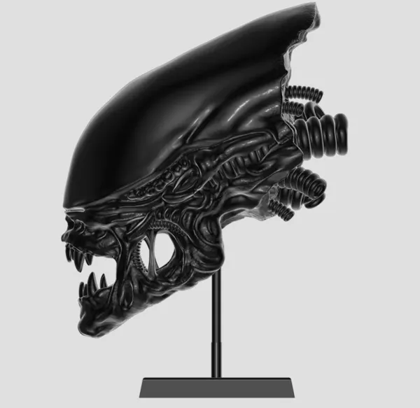 https://makerworld.bblmw.com/makerworld/model/US9278c7f271ea96/design/2024-04-10_78646ef0dc8c3.webp