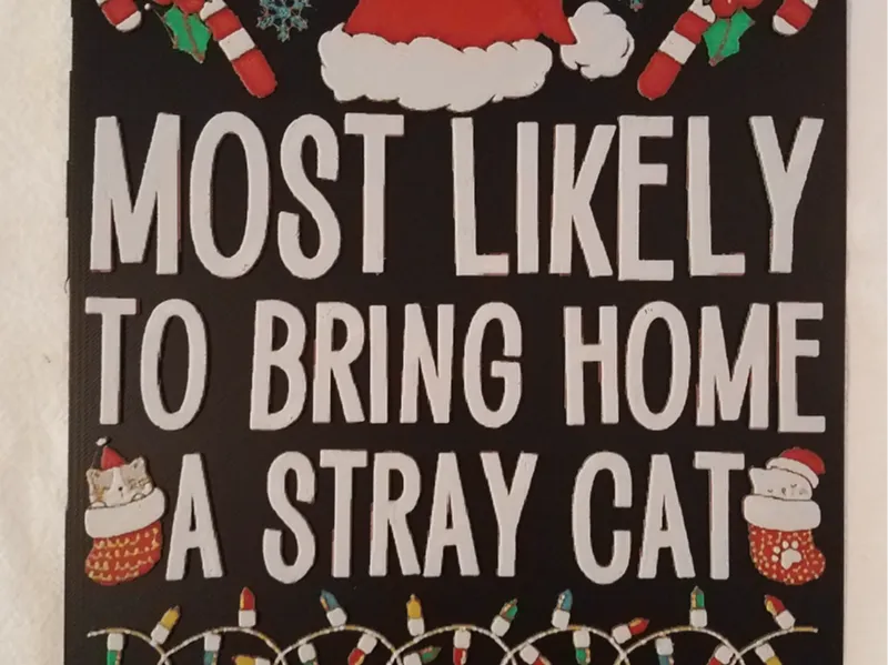 Most Likely To Bring Home A Stray Cat 2