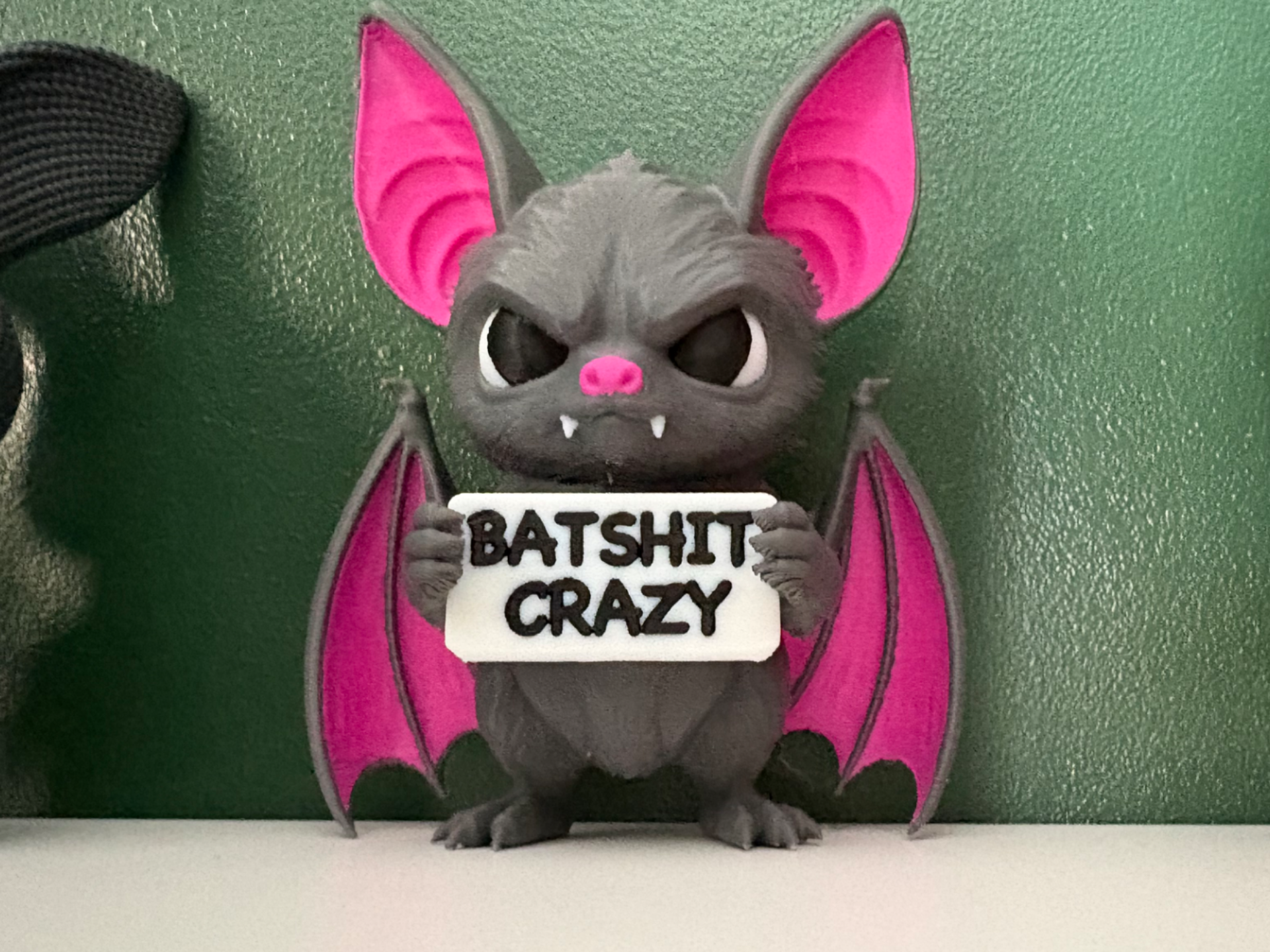 Cute But Grumpy Bat