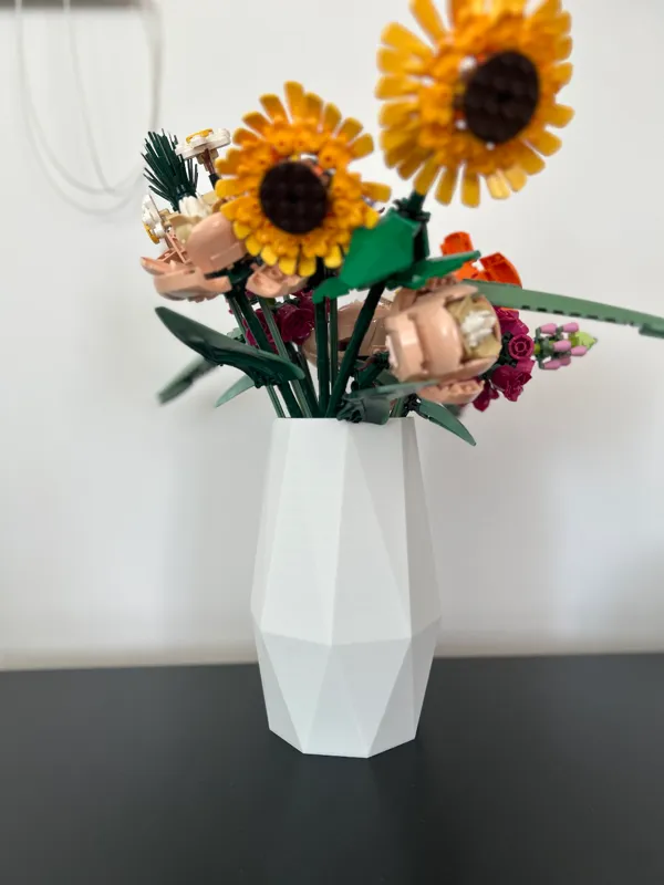 https://makerworld.bblmw.com/makerworld/model/US927bc2d8a26d2c/design/2024-12-31_84b12e04d89808.jpg