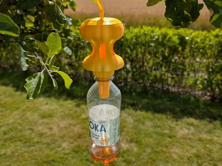 Wasp Exterminator