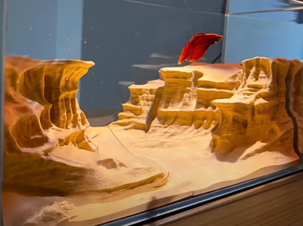 https://makerworld.bblmw.com/makerworld/model/US9286b7c536bc42/design/2025-12-20_e8bdc150655bb.jpg
