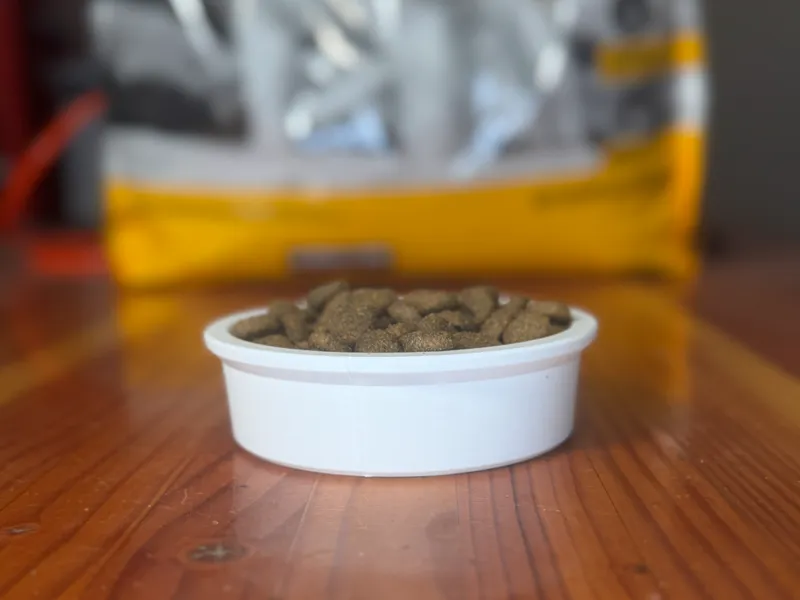 Pet Bowl 1 Cup