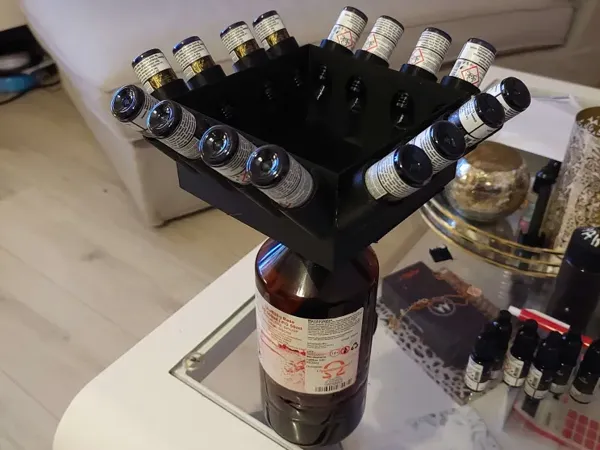https://makerworld.bblmw.com/makerworld/model/US928930b1250c58/design/2025-11-30_12f5259cd0063.webp