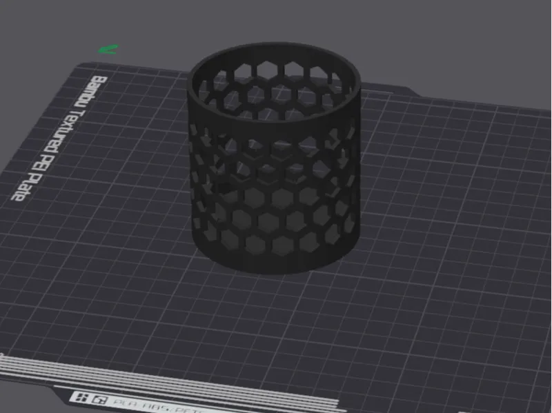 coral isolation cup