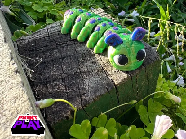 https://makerworld.bblmw.com/makerworld/model/US9290ad3cfc3480/design/2025-03-26_5043106dfb1d.jpg