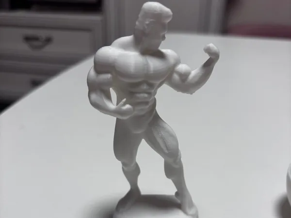 https://makerworld.bblmw.com/makerworld/model/US929bd651872c88/design/2025-02-09_3031e6320822f.jpg