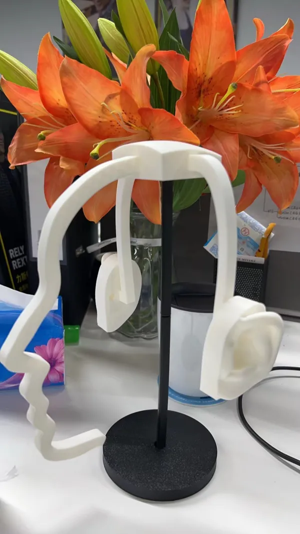 https://makerworld.bblmw.com/makerworld/model/US929d93fd43fe71/design/2024-03-06_366e543c5896c.jpg
