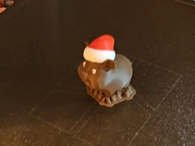 Schwein mit Weihnachsmütze