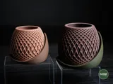 Minimalist Planter with Patterned Elevated Drip Plate