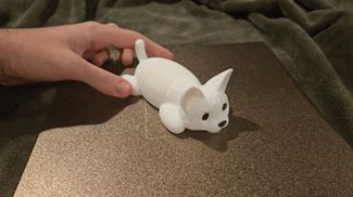 Spring Cat Fidget Toy