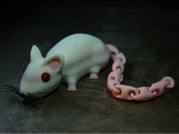 https://makerworld.bblmw.com/makerworld/model/US92a2f9b5f1b032/design/2024-10-23_a5933224e328a.jpg