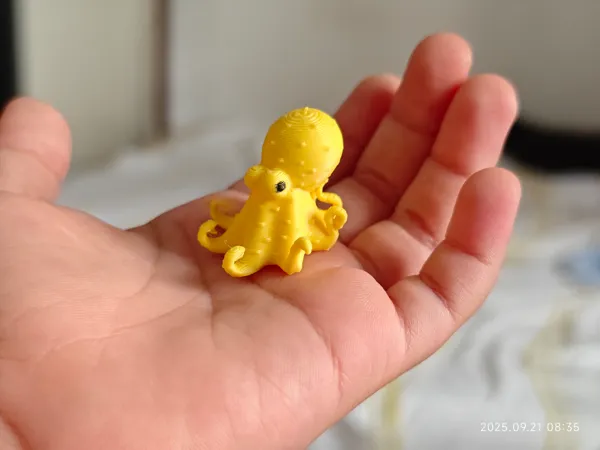 https://makerworld.bblmw.com/makerworld/model/US92a4210ae1466f/design/2025-09-21_a1e48ceb9df35.jpg