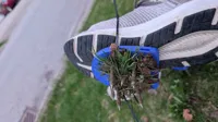 Chaussures d'aération de pelouse — photo 4