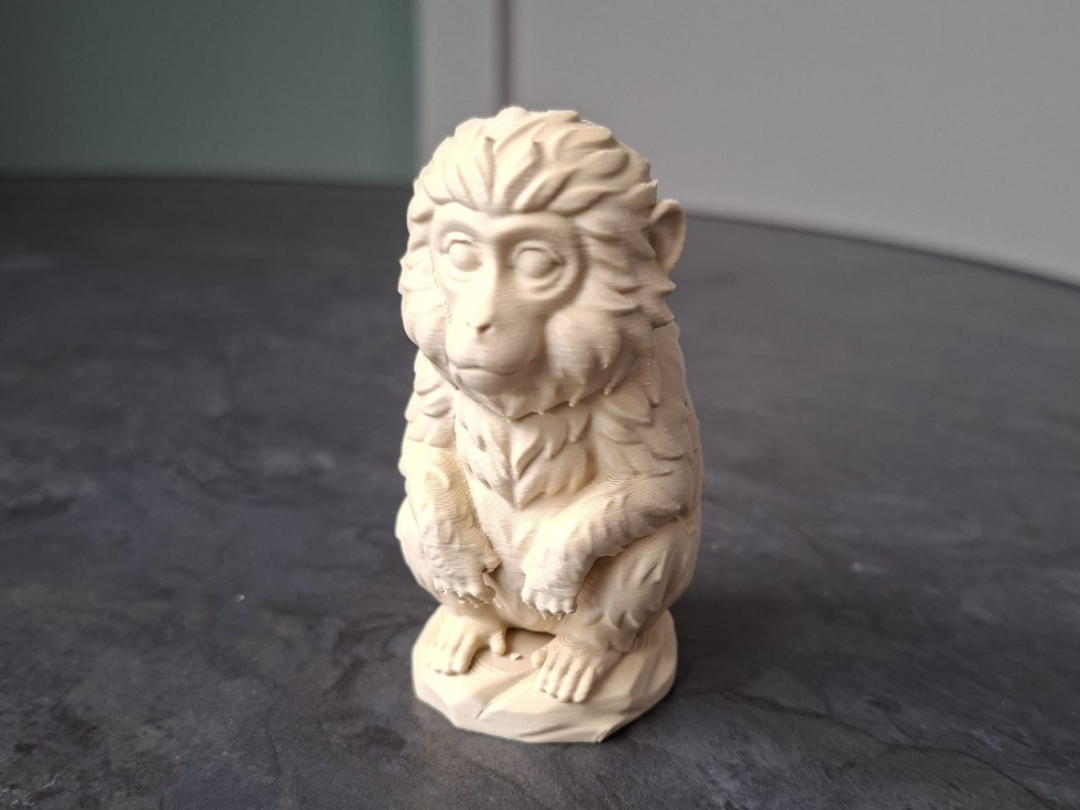 Cute Sitting Monkey