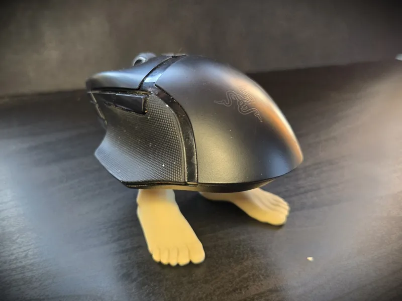 Mouse Feet