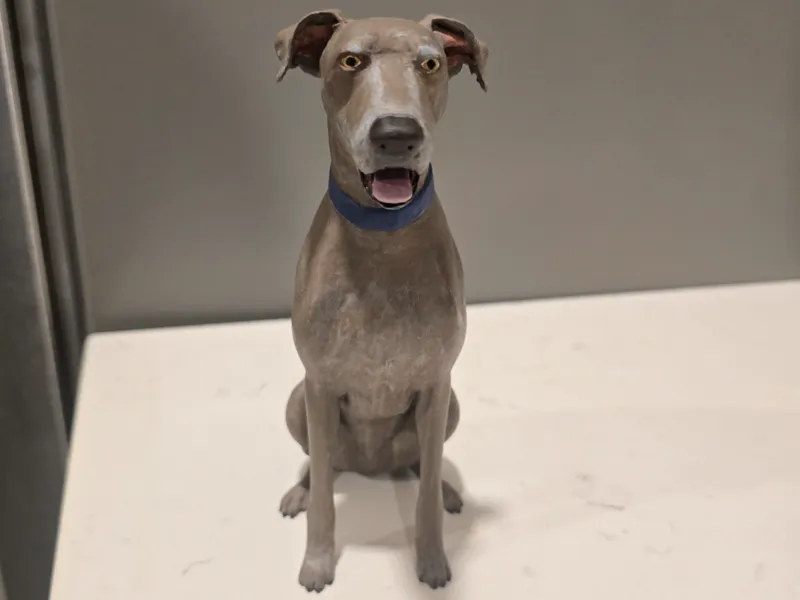 Great Dane
