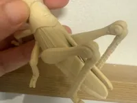 0.2mm 层高, 2 层墙, 15% 填充