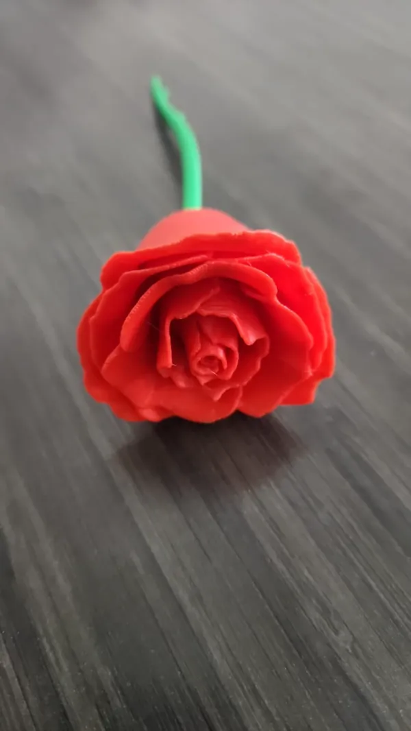https://makerworld.bblmw.com/makerworld/model/US92ba67e561d92e/design/2024-02-04_f2e8f721f51c1.jpg