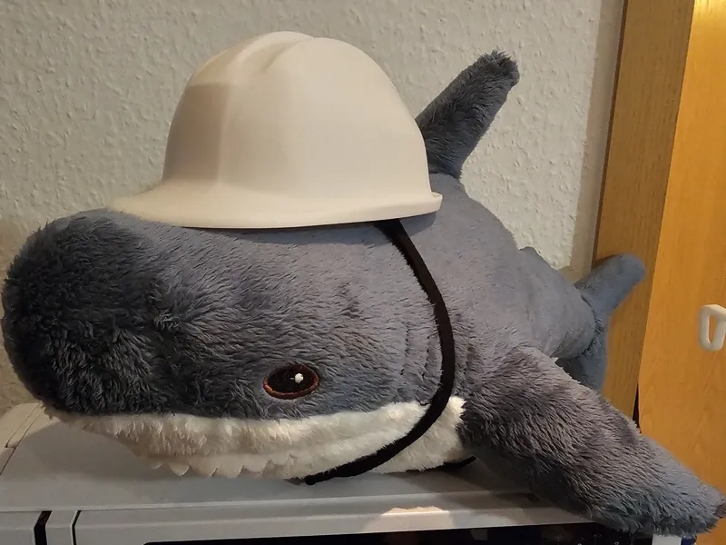 Smålhaj Safety Helmet