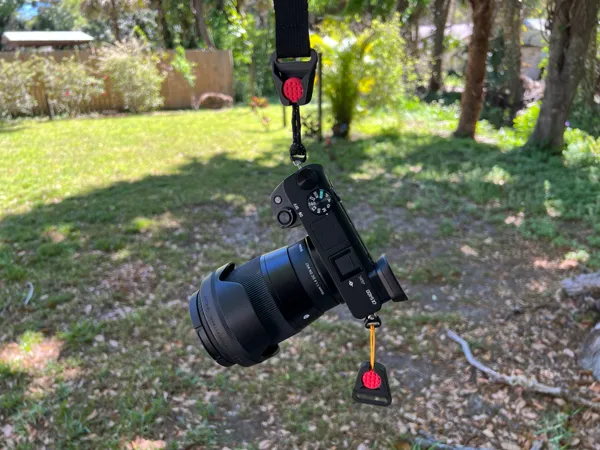 https://makerworld.bblmw.com/makerworld/model/US92c02d5c539f60/design/2025-03-18_263e6c2b45059.jpeg