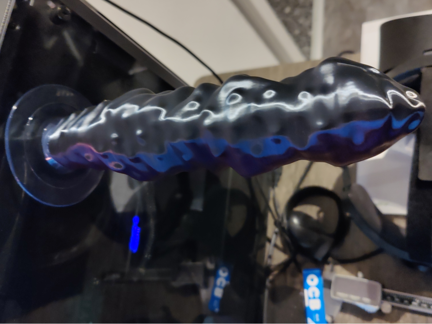 Feuersalamander Freudenspender