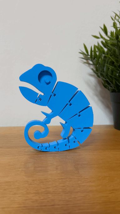https://makerworld.bblmw.com/makerworld/model/US92c27a40a10de6/design/2024-08-10_c5592bd392dd88.gif