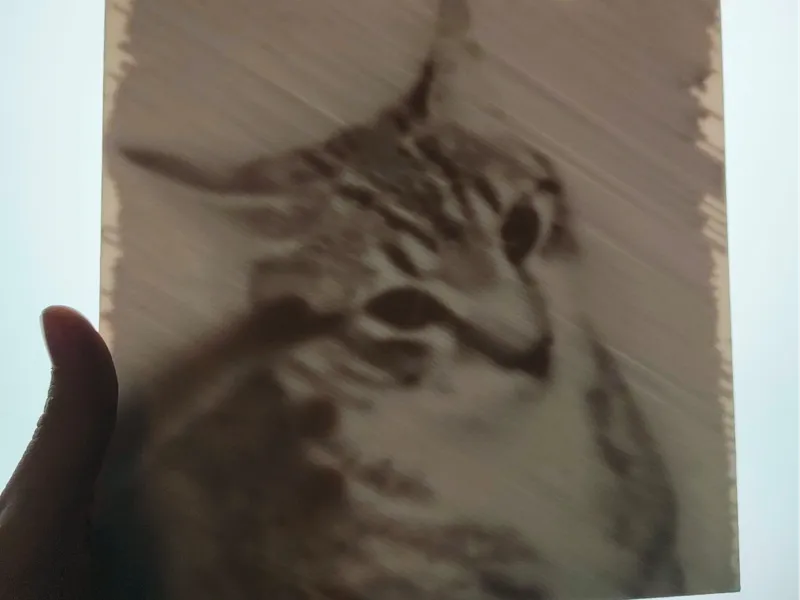 Illusion Artwork - Cat (NO AMS)
