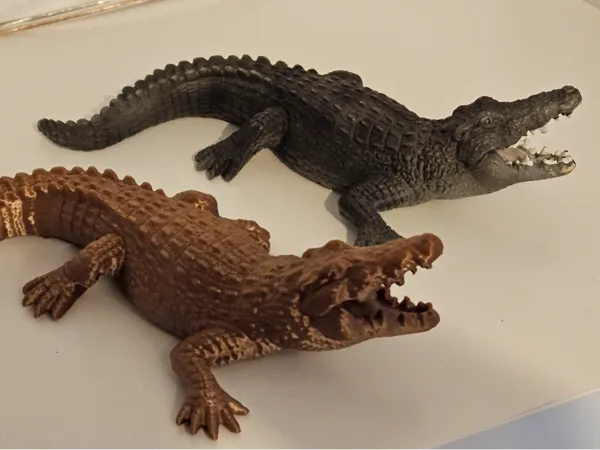 https://makerworld.bblmw.com/makerworld/model/US92cadf4b42ed0a/design/2025-01-20_0d4743a0e7e1f.jpg