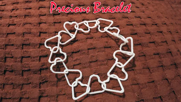 https://makerworld.bblmw.com/makerworld/model/US92cb27f8ecf786/design/2024-01-25_e61cd06bb43d6.jpg