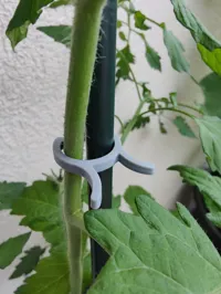 Pince à légumes pour tuteur — photo 4
