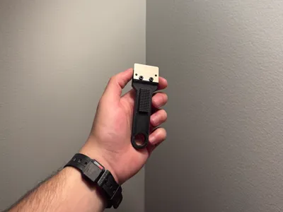 Bed Scraper Brush