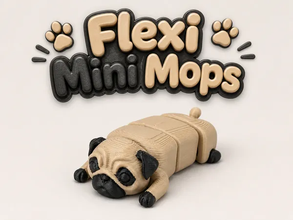 https://makerworld.bblmw.com/makerworld/model/US92d35599cf2159/design/ea7fdd38cdccfd2f.png
