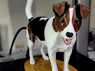 terrier brasileiro /  Fox Paulistinha
