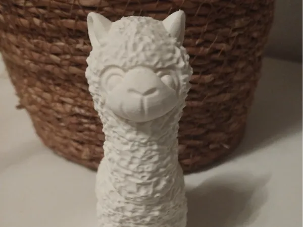 https://makerworld.bblmw.com/makerworld/model/US92de80a02b7423/design/dbc29d28814e3f5d.jpg