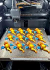 Charizard_Flexy
