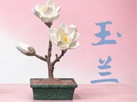 玉兰花