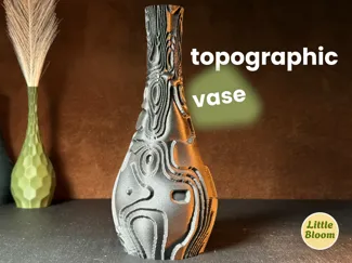 topographic · vase