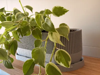 Modern plant pot 24cmx10cm with tray