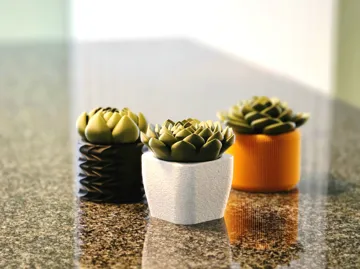Letrero o emblema decorativo: Succulent Fruit Fly Trap - Set #2 — vista de referencia 3