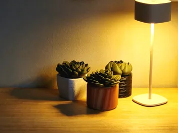 Letrero o emblema decorativo: Succulent Fruit Fly Trap - Set #2 — vista de referencia 5