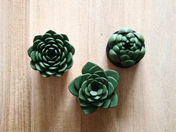 Letrero o emblema decorativo: Succulent Fruit Fly Trap - Set #2 — vista de referencia 4